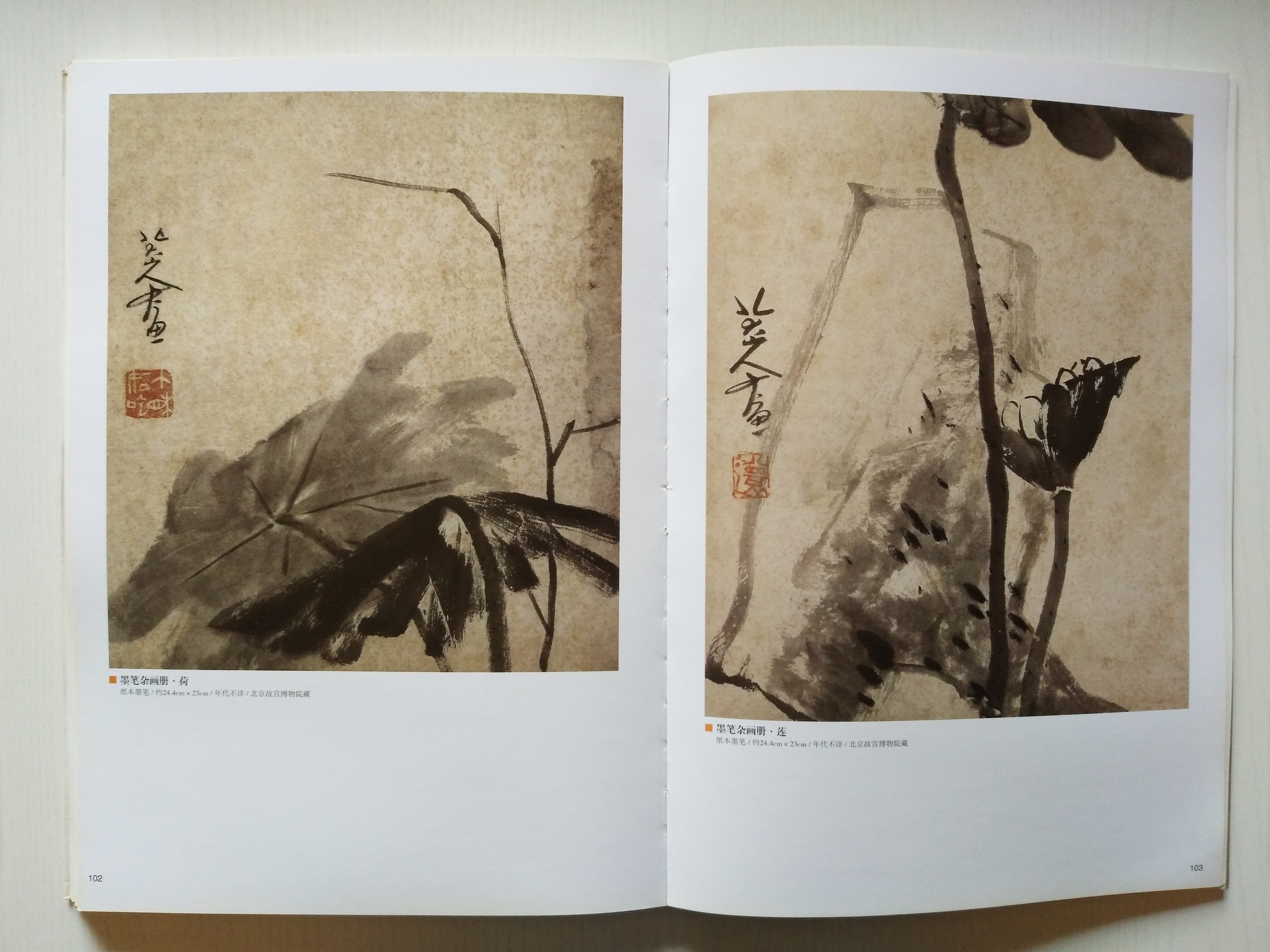 劉純:仰視清代中國寫意花鳥畫之巔峰者