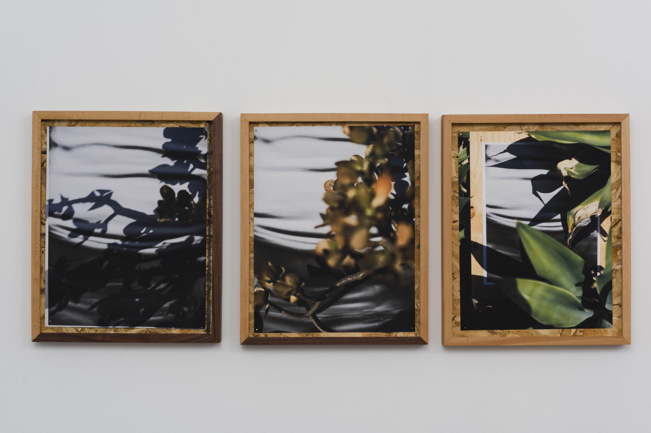 圖四、從左至右《庫卡蒙格牧場 34.1064° N, 117.5931° W. 》2018《回聲公園 34.0782° N, 118.2606° W.》 2018《康普頓 33.8958° N, 118.2201° W. 2018》David Alekhuogie